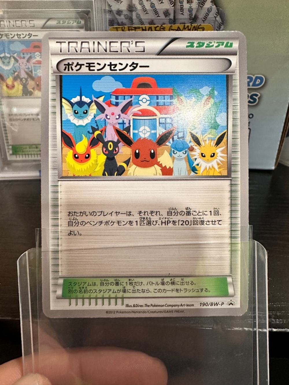 Pokemon Japanese Black & White Promo Pokemon Center Card